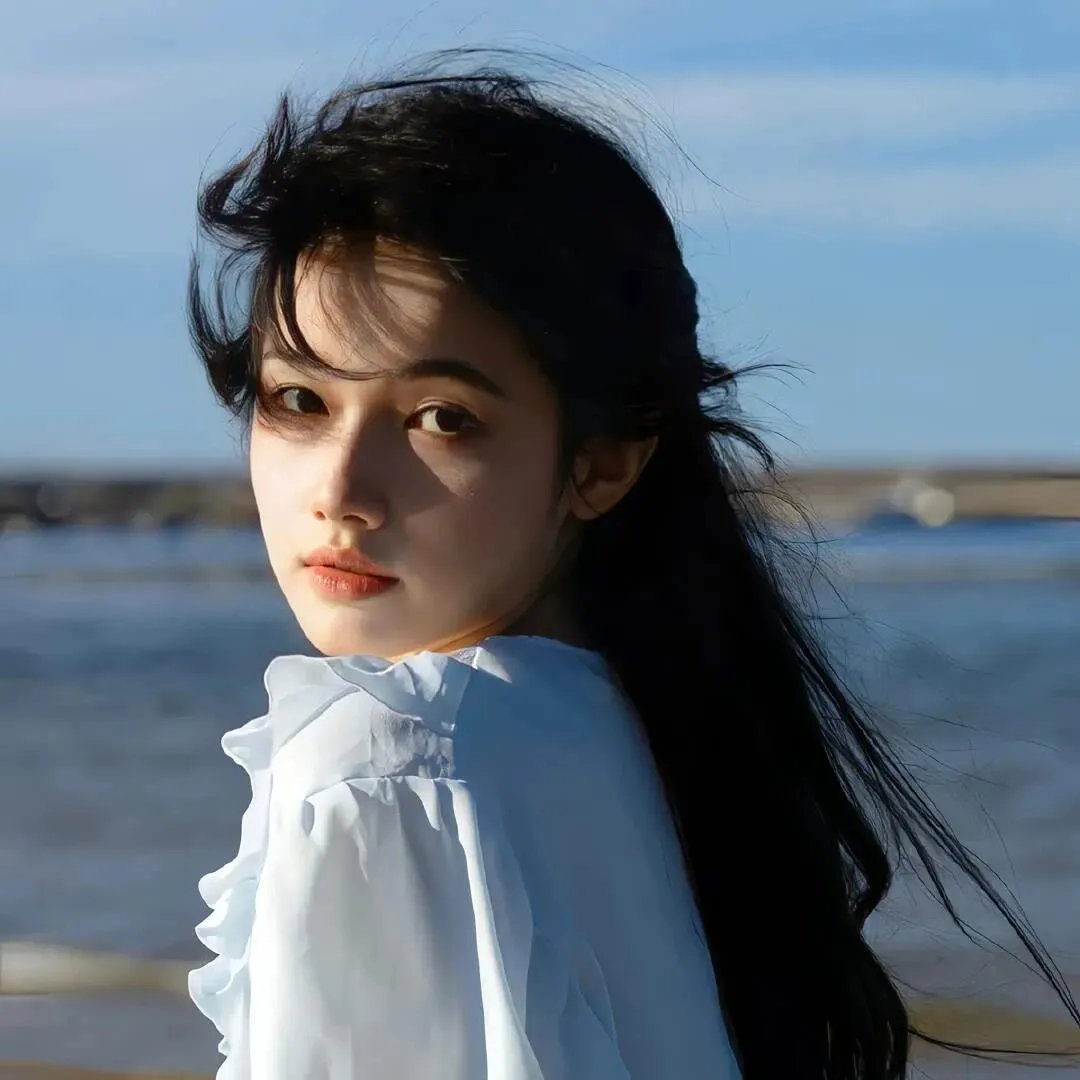 黑之契约者2:流星的双子